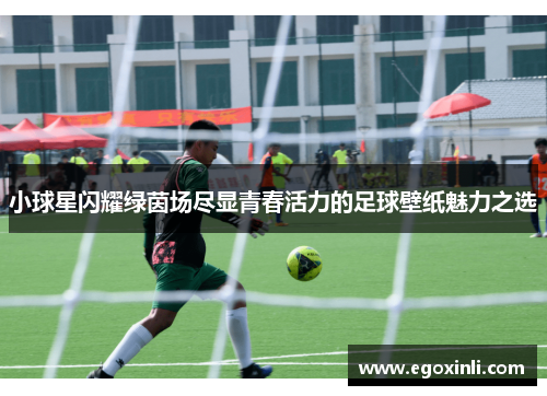 小球星闪耀绿茵场尽显青春活力的足球壁纸魅力之选