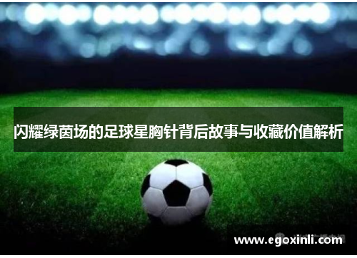 闪耀绿茵场的足球星胸针背后故事与收藏价值解析
