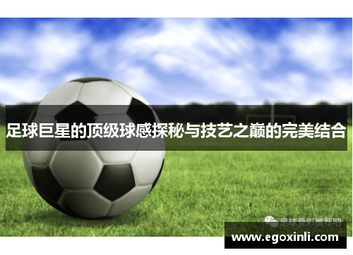 足球巨星的顶级球感探秘与技艺之巅的完美结合