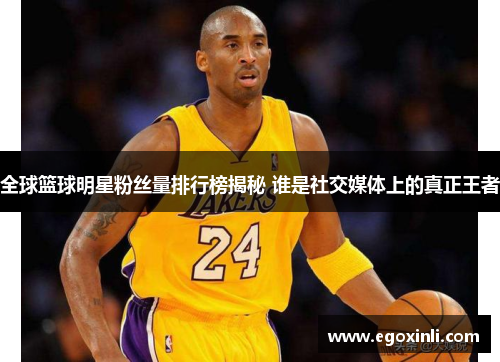 全球篮球明星粉丝量排行榜揭秘 谁是社交媒体上的真正王者