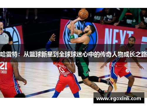 哈雷特：从篮球新星到全球球迷心中的传奇人物成长之路