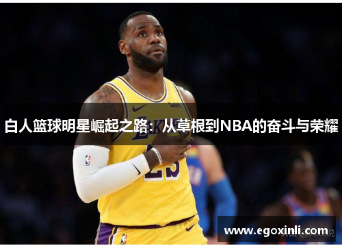白人篮球明星崛起之路：从草根到NBA的奋斗与荣耀