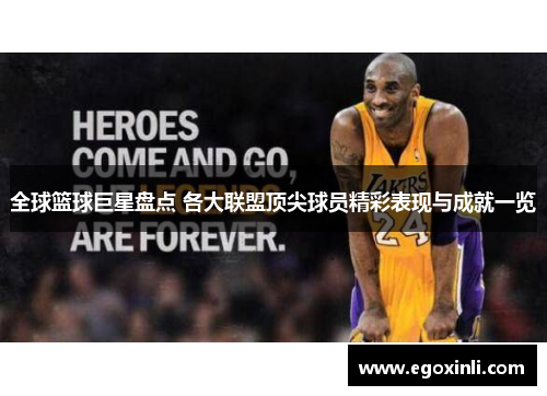 全球篮球巨星盘点 各大联盟顶尖球员精彩表现与成就一览