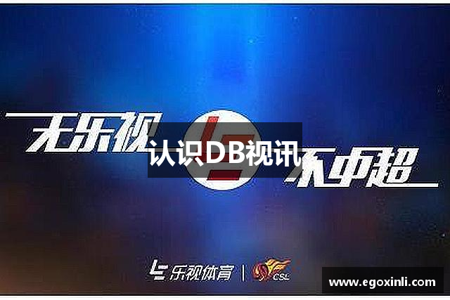 认识DB视讯